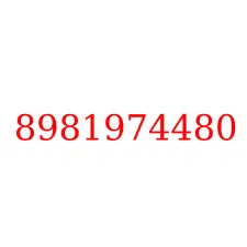 8981974480