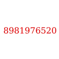 8981976520
