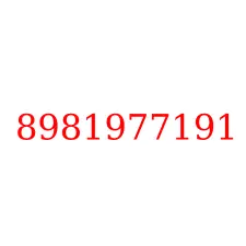 8981977191