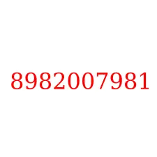8982007981