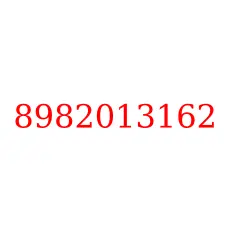 8982013162