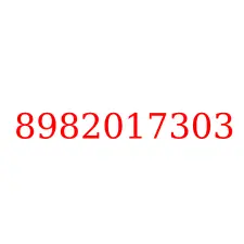 8982017303