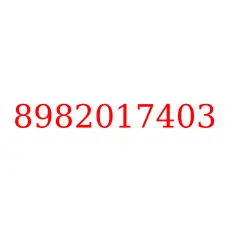 8982017403
