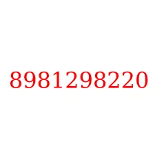8981298220