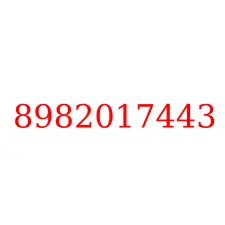 8982017443