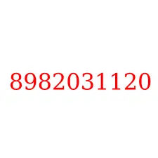 8982031120