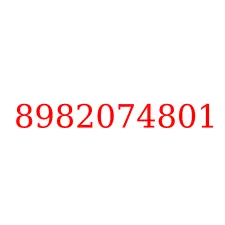 8982074801