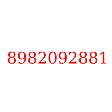 8982092881
