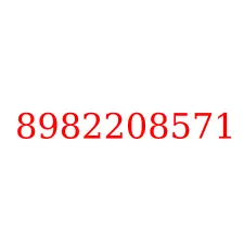 8982208571