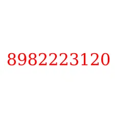8982223120