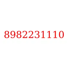 8982231110