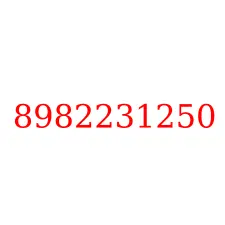 8982231250