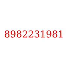 8982231981