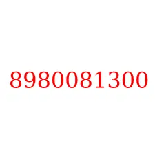 8980081300