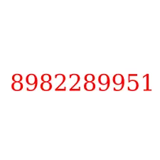 8982289951