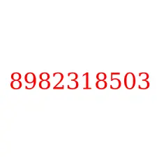 8982318503