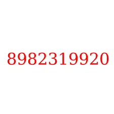 8982319920