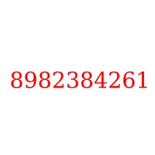 8982384261