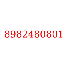 8982480801