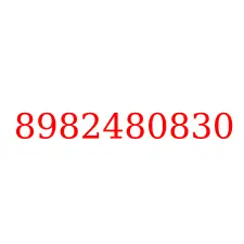 8982480830