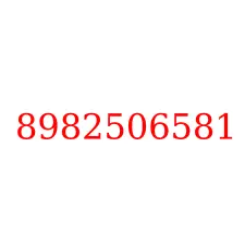 8982506581