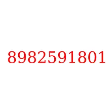 8982591801