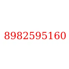 8982595160