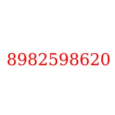 8982598620