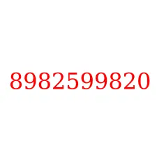 8982599820