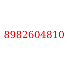 8982604810