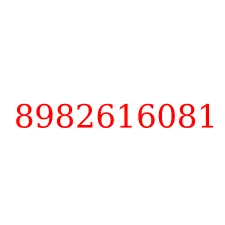 8982616081