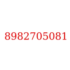 8982705081