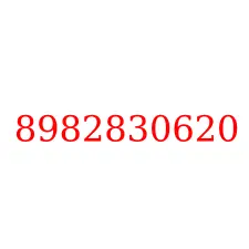8982830620