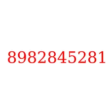 8982845281