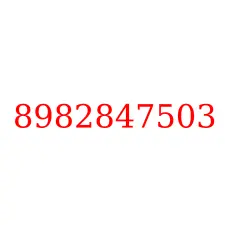8982847503