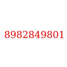 8982849801