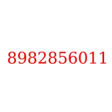 8982856011