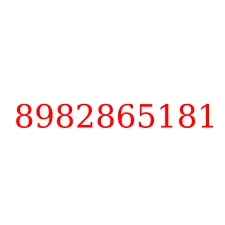 8982865181