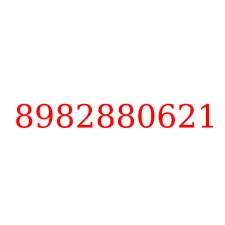 8982880621