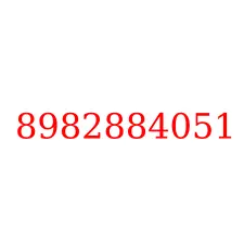 8982884051