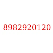 8982920120