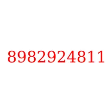 8982924811