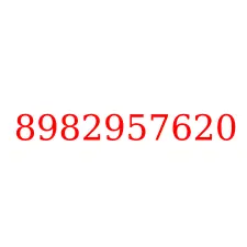8982957620
