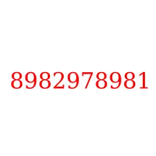 8982978981