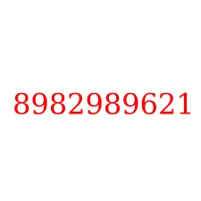 8982989621