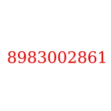 8983002861