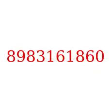 8983161860