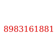 8983161881