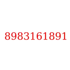 8983161891