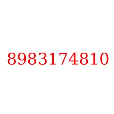 8983174810
